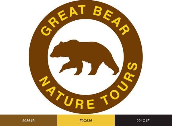 Great Bear Lodge brand color palette