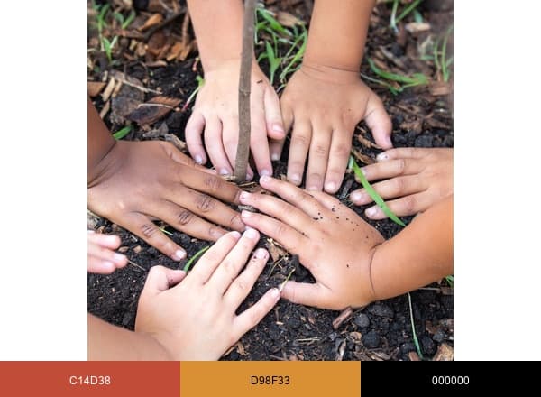 The Green Garden Child Development Center brand color palette