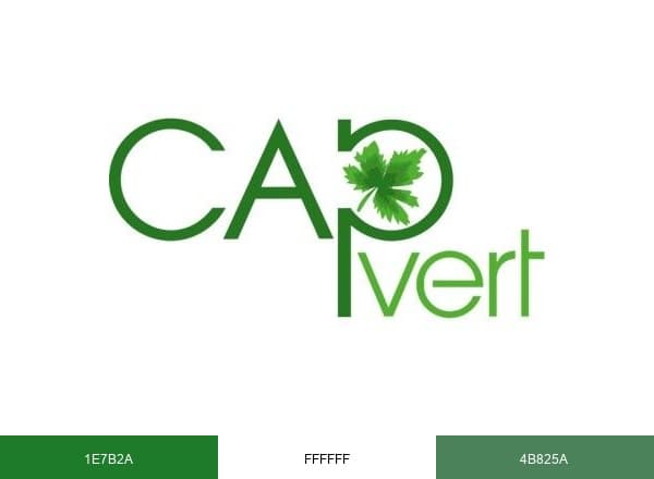 Cap Vert brand color palette