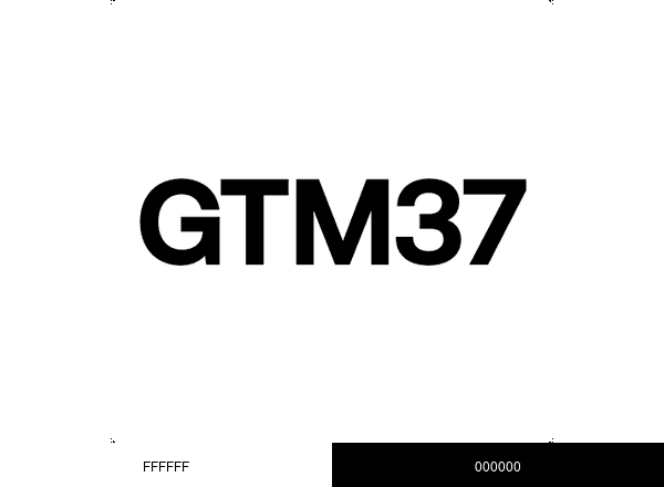 GTM37 brand color palette