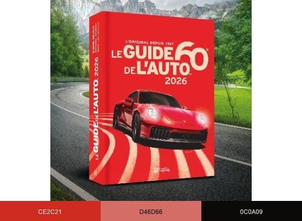 Guide de l'auto brand color palette