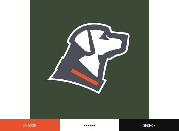 GUNNER brand color palette