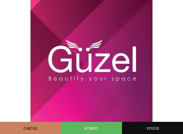 Guzel Concepts brand color palette