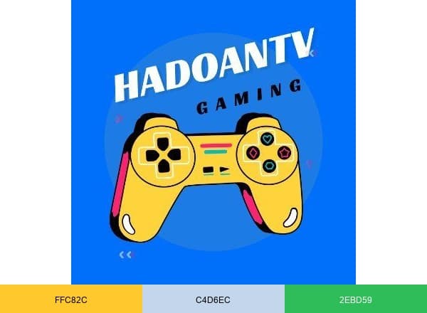 HaDoan TV brand color palette