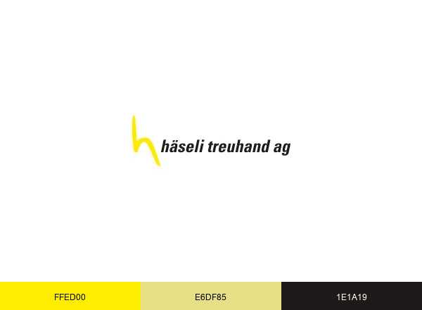 Häseli Treuhand brand color palette