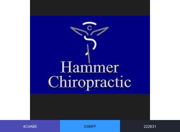 to Hammer Chiropractic brand color palette