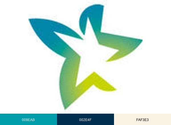 Haskoning brand color palette