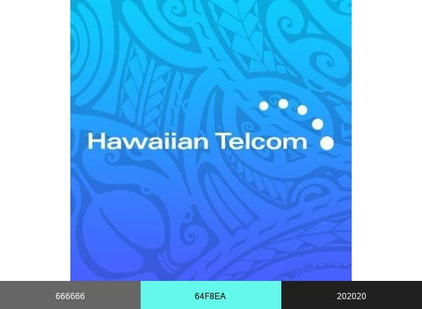 Hawaiian Telcom brand color palette