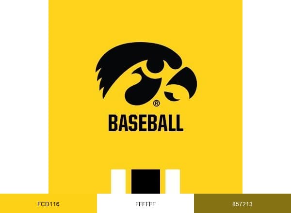 Iowa Baseball brand color palette