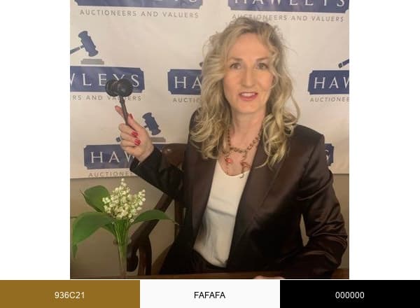Caroline Hawley brand color palette