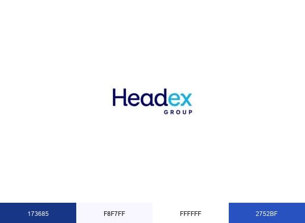 Headex Group brand color palette
