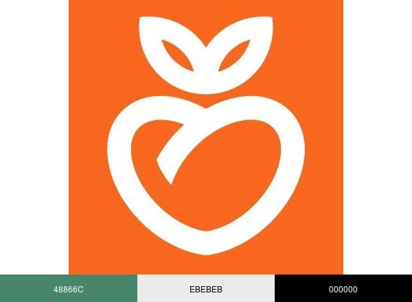 Healthy Living brand color palette