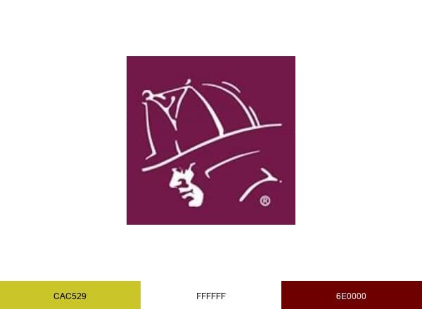 HFRRF brand color palette