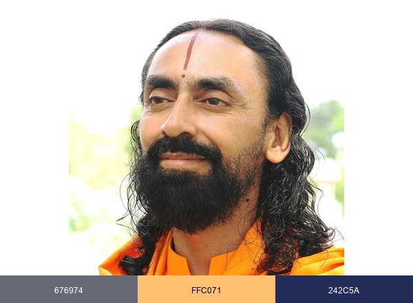 Holy Bhagavad Gita brand color palette