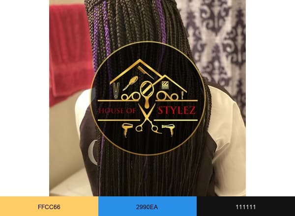 House Of Stylez brand color palette