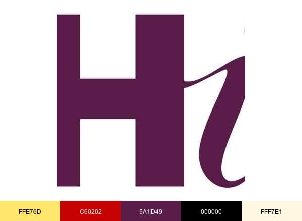 Houston Institute brand color palette