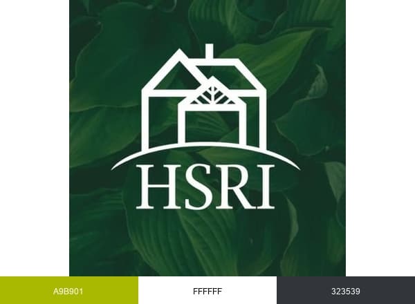 Human Services Research Institute brand color palette