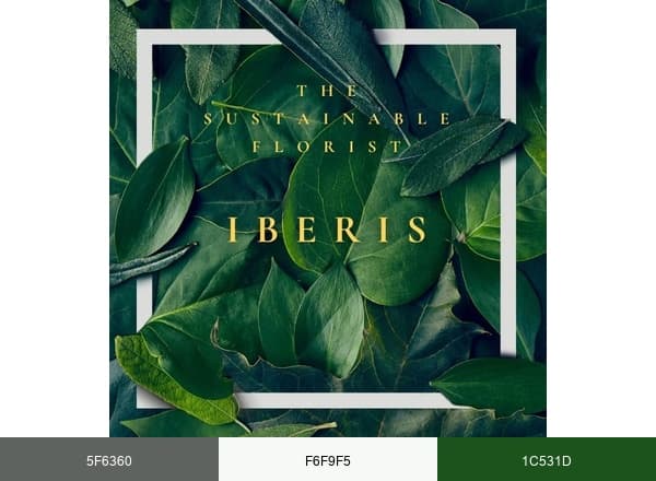 Iberis gardening for wellbeing brand color palette