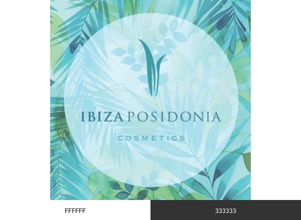IbizaPosidonia brand color palette