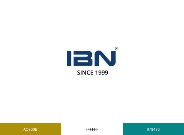 IBN Technologies LTD brand color palette