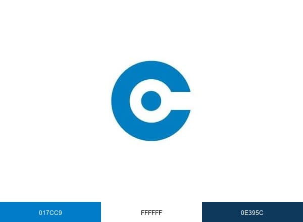 ICAPE Group brand color palette