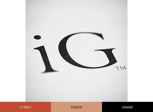 iGavel Auctions brand color palette