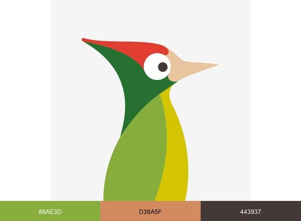 Ilicut brand color palette