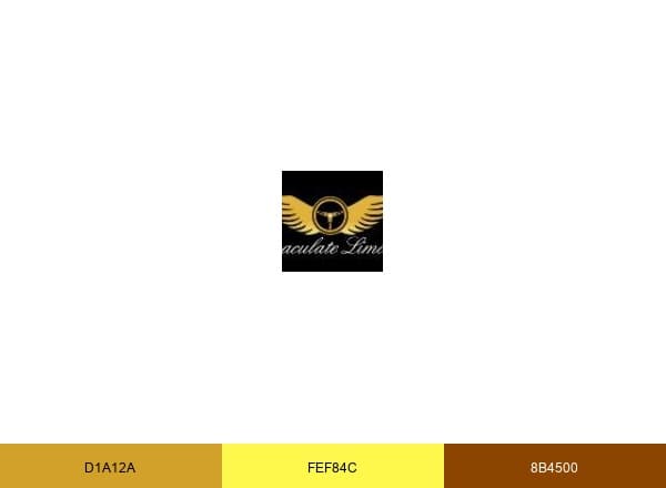 Immaculate Limo brand color palette