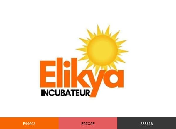 Incubateur Elikya brand color palette