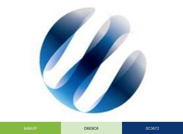 Wheebox brand color palette
