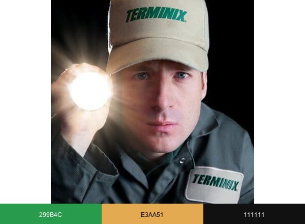 Terminix of NC brand color palette