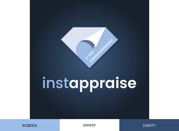 Instappraise brand color palette