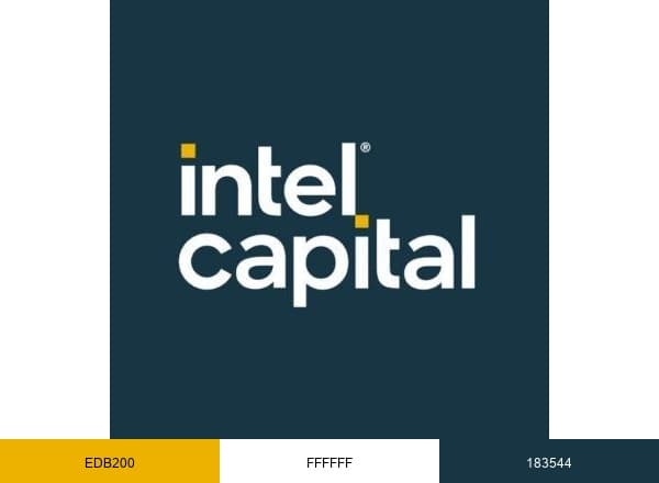Intel Capital brand color palette