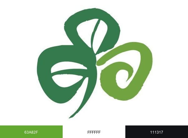 Tourism Ireland US brand color palette