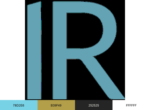 IronRods brand color palette