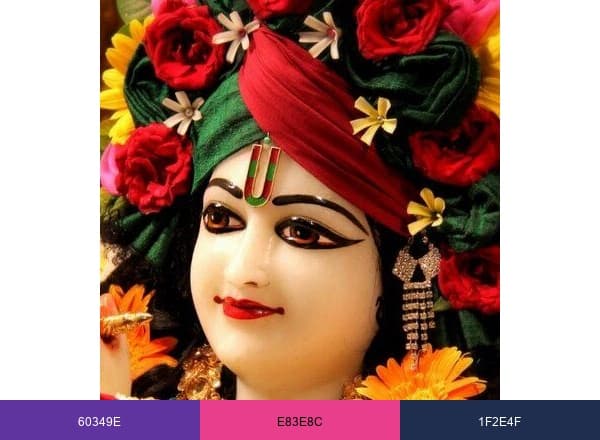 ISKCON Juhu brand color palette