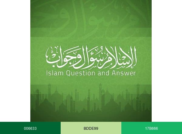 الإسلام سؤال وجواب brand color palette
