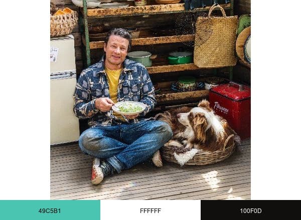 Jamie Oliver brand color palette