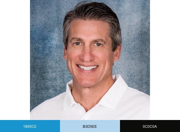 Neal Golding brand color palette