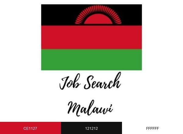 Job Search Malawi brand color palette