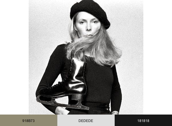 Joni Mitchell brand color palette