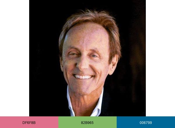 Josh Bersin brand color palette