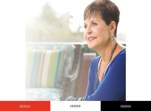 Joyce Meyer brand color palette