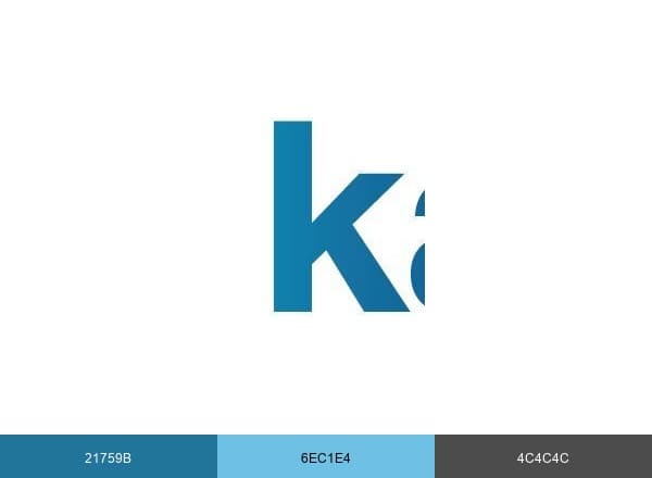 Kaizen Health Group brand color palette