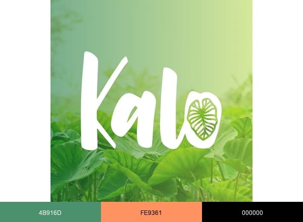Kalo Clinical Research brand color palette