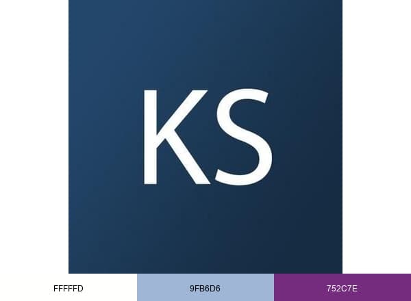 Kansas Agent brand color palette