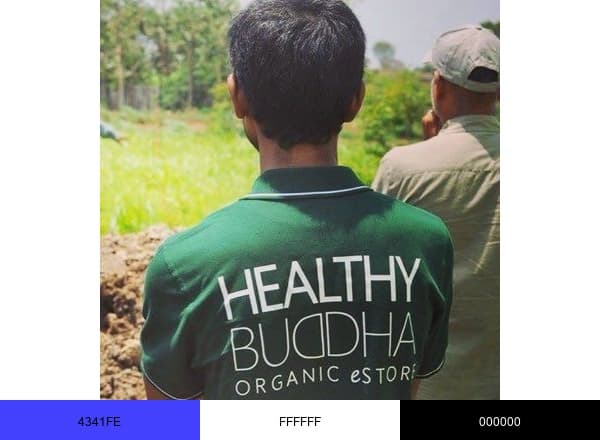 Healthy Buddha brand color palette