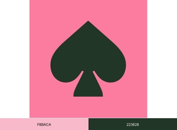 Kate Spade New York brand color palette
