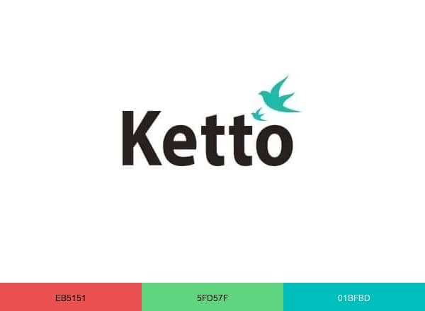 Ketto brand color palette