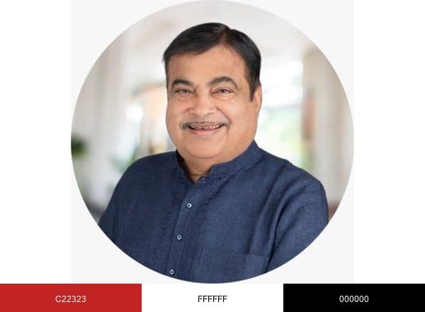 Nitin Gadkari brand color palette